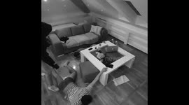 Security Camera Video / House Break-IN in USA