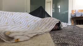 Training infant survival skills