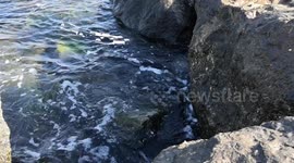 sea shore, water hits Rocks
