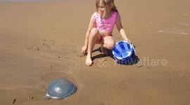 Girl finds Big Jellyfish on a North Cornwall Beach