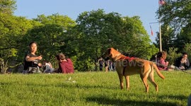 New Yorkers flock to parks on Memorial Day