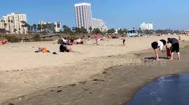 Beachgoers seen respecting social distancing guidelines on Memorial Day in Santa Monica