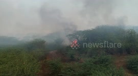 Captured on drone: Forest fires break out in western India
