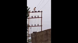 Terrifying moment five-year-old boy climbs up utility pole in Jajpur, India