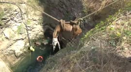 Fire officials rescue spotted deer from 45-feet well in southern India