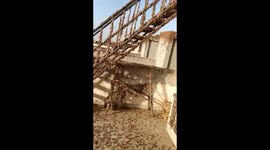 Hordes of locust swarm northern India in 'worst attack' for decades