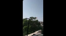 Locust swarms in Jaipur on 25th Morning
