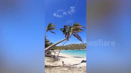 Talented kitesurfer launches himself from a coconut tree in Cuba