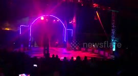 Metal Cage Preparation For Lion Show In Circus