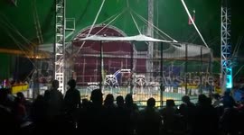 Triplets Jumpers Show Off In Circus