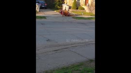 Kid leaving secret porch gift has  getaway go epically wrong