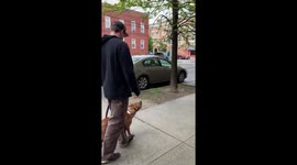 Dog's stick dreams ruined