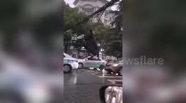Scooter transported on back of truck ends up tangled on power lines in China
