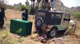 Dramatic footage shows leopard attacking forest officials during rescue operation in southern India
