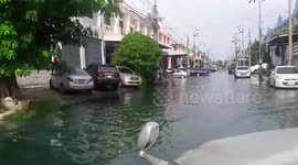 Flash flood waters from storm turn green from suspected chemical leak