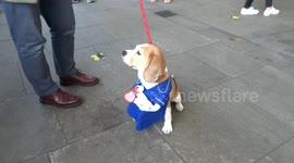 NHS staff and locals with pets are waiting for  the final NHS clap outside Chelsea and Westminster Hospital on 28 May 2020