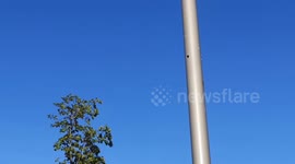 Unusual Nest At The Olympic Park