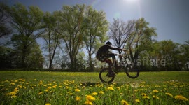BMX Bike Wheelie in Sunshine with Flowers / Action - Fun - Extreme Sports