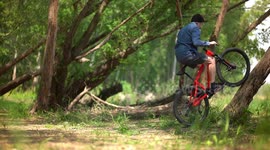 Cool MTB Bike professional Athlete performs trick on a tree / Action - Extreme - Fun Sports