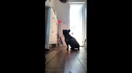 Temptation Test Fail