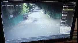 Dramatic CCTV footage shows leopard attacking pedestrian in west India
