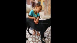 Cute Boy And Dog