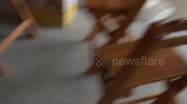 Puppy scares away monitor lizard that invaded home