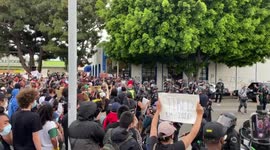Los Angeles Riot, Protestors