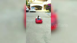 Pet dog rides electric toy car in Bangkok