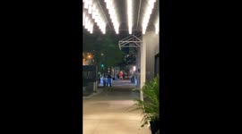 Chicago Police Arrest Looters Running Out of Store