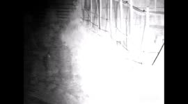 Clever fox tricks badger to steal chicken