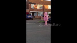 Mr Blobby, a Sumo Wrestler & a Penguin visit Bedfordshire during Clap for keyworkers NHS during lockdown
