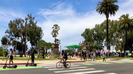 Hundreds of Peaceful Protesters march through the palm trees of Santa Monica towards the historic pier.