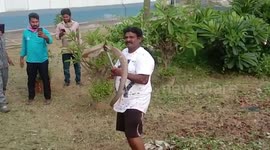 Animal rescuer pulls out venomous snake from underneath concrete slab in southern India