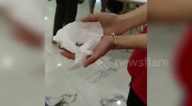 Chinese workers forced to eat earthworms after they fail to reach sales target