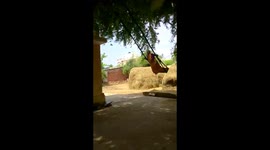 This 76-year-old granny from southeast India proves that age is just a number