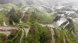 Breathtaking terrace field in china
