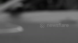 Looting on 5th Avenue