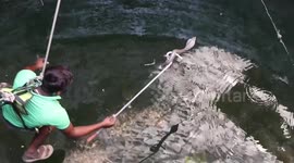 Rescuer risks life to pull out venomous cobra snake stranded inside well in western India
