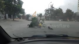 Motorcyclist knocked down when fallen tree branch blows into her path during storm in Vietnam