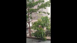 Hurricane weather, cyclone season,