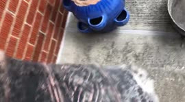 A Broken Fiberglass Pot Gets Repurposed