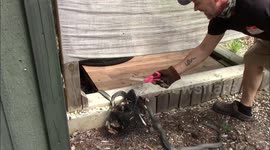 Man who's scared of snakes releases huge serpent from net