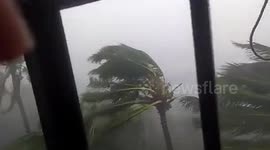 Trees sway in gusting winds and heavy rainfall as severe cyclonic storm Nisarga makes landfall in western India