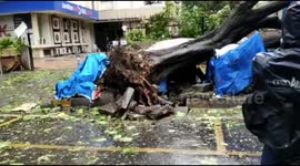 Cyclone Nisarga makes landfall near city of Mumbai