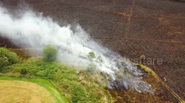 Gorse Fire
