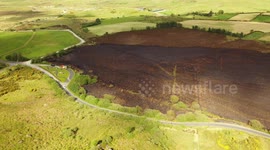 Gorse Fire Damage During Drought
