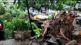 Uprooted trees and scattered branches as Cyclone Nisarga spares Mumbai