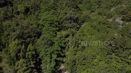 Foresta in Sardegna - Gorropu