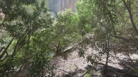 Canyon